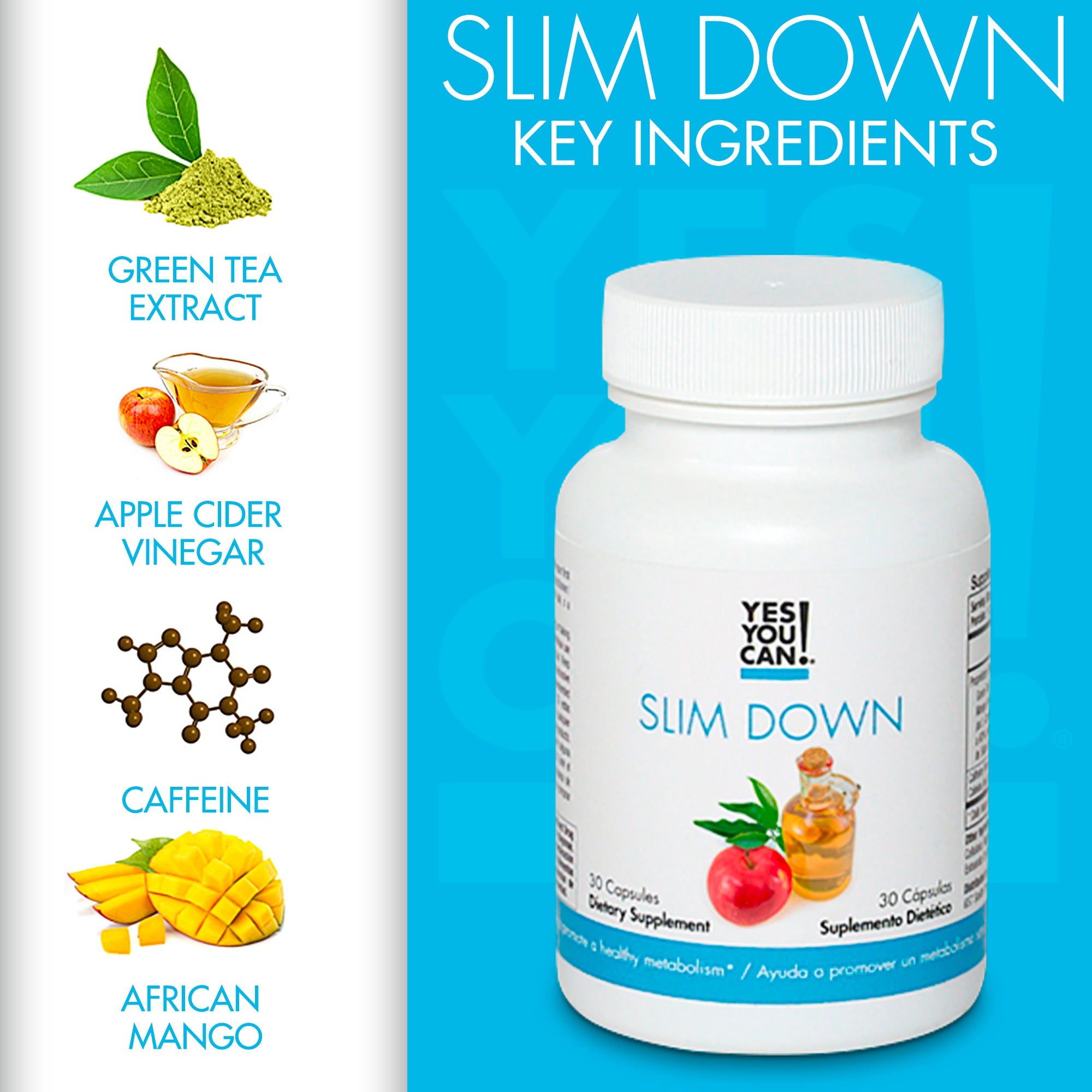 Yes You Can Fat Burner Slim Down Key Ingredients